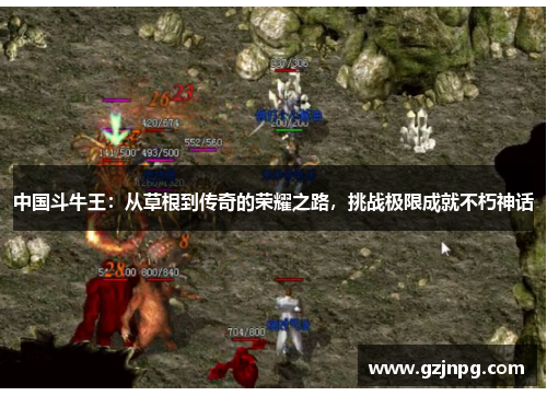 中国斗牛王：从草根到传奇的荣耀之路，挑战极限成就不朽神话