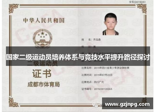 国家二级运动员培养体系与竞技水平提升路径探讨