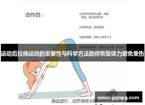 运动后拉伸运动的重要性与科学方法助你恢复体力避免受伤
