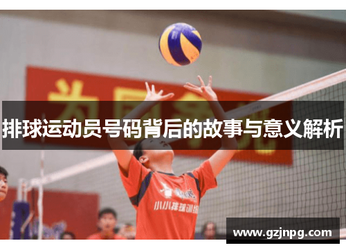 排球运动员号码背后的故事与意义解析