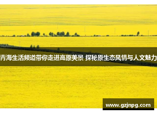 青海生活频道带你走进高原美景 探秘原生态风情与人文魅力